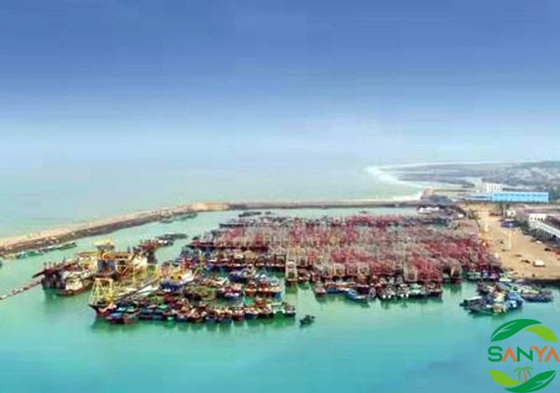 海南七月份以来外贸总值超1330亿元，同比增长21.7%