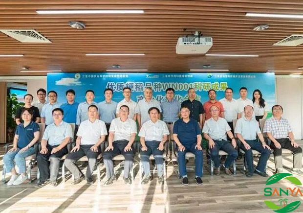 万建民院士团队优质粳稻品种产业化转化落地海南崖州湾科