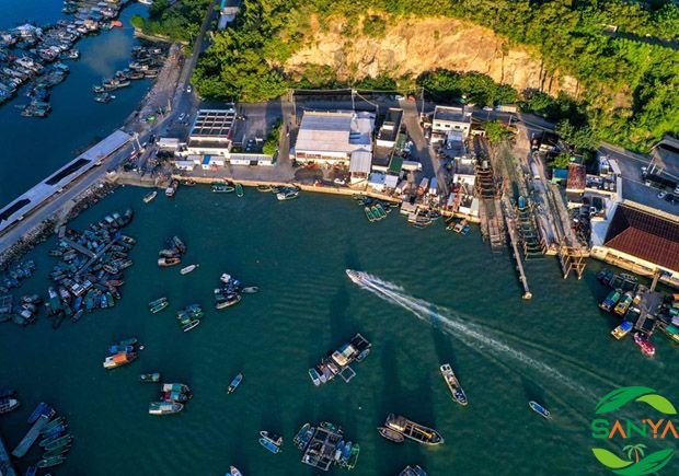 距海南启动全岛封关还有两年，海南有哪些政策举措