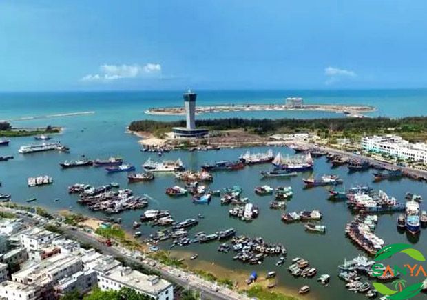 距海南启动全岛封关还有两年，海南有哪些政策举措