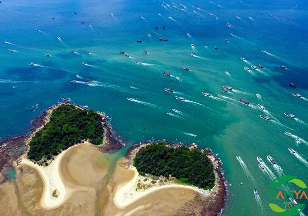海南构建海洋塑料污染多元共治体系，打造“无塑海洋”