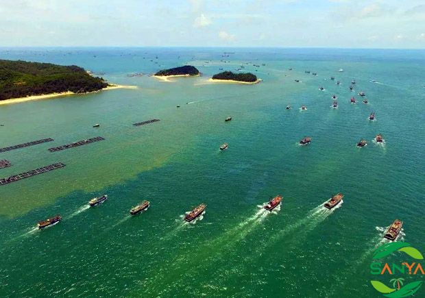 海南构建海洋塑料污染多元共治体系，打造“无塑海洋”