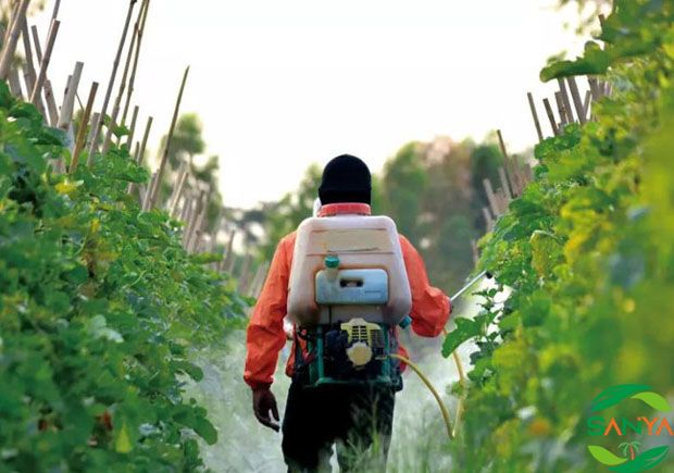 海南三亚高效农药化肥展
