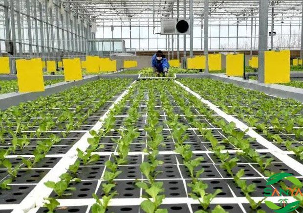 海南设施农业智能灌溉的技术原理是什么